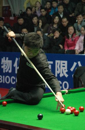 灰熊在本场 灰熊在本场